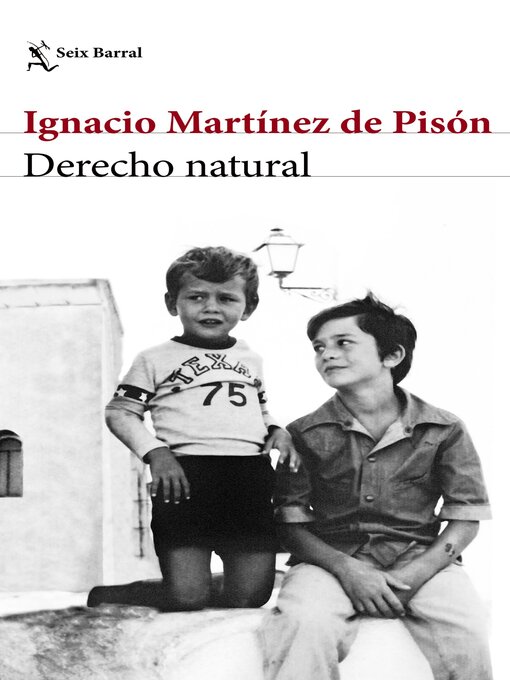Title details for Derecho natural by Ignacio Martínez de Pisón - Wait list